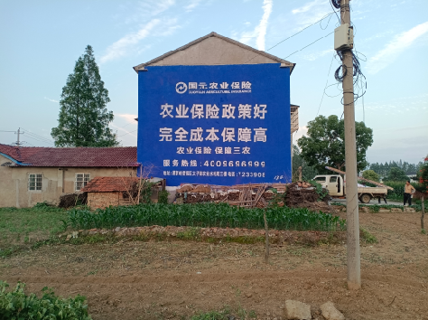 长阳墙体广告的优劣势你知道吗？